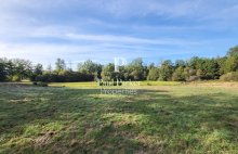 Demeure de prestige Ruaudin 12 pièce(s) 347 m2 - 4693163PLGI