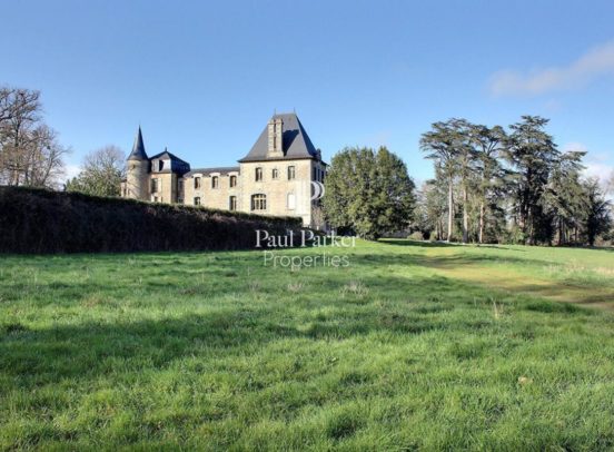 Château XVI è et XIX è siècle sur 24 ha rivière du Bono - 131032143PADR