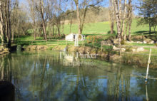 Demeure de prestige, piscine, sur plus de 15 hectares clos avec un étang et une source - 1.3248223PEMM