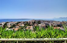 Cannes Basse Californie – Appartement d’exception avec vaste terrasse - 3363663PMVORZ