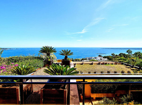 Super Cannes – Exceptional penthouse with private pool - 3389203PMVORZ