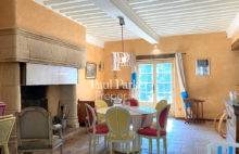 Character house from the 17th century with cottage and swimming pool in Lalbenque - 3393343PEMM