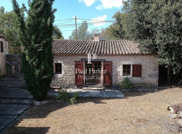 Character house from the 17th century with cottage and swimming pool in Lalbenque - 3581053PEMM