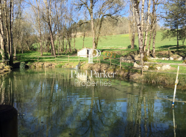 Prestigious residence, swimming pool, on more than 15 hectares closed with a pond and a source - 3605393PEMM